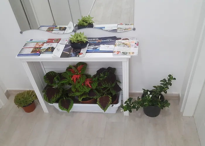 Residenza Burmaria Free Parking Alojamento de Acomodação e Pequeno-almoço Tropea