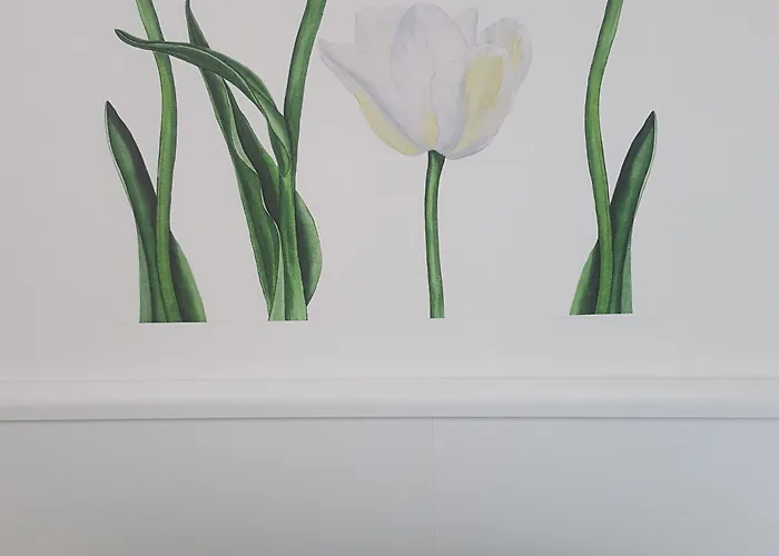 Alojamento de Acomodação e Pequeno-almoço Residenza Burmaria Free Parking