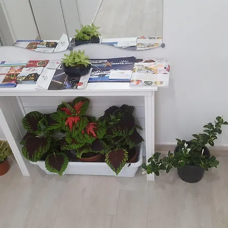 Residenza Burmaria Free Parking B&B 트로페아