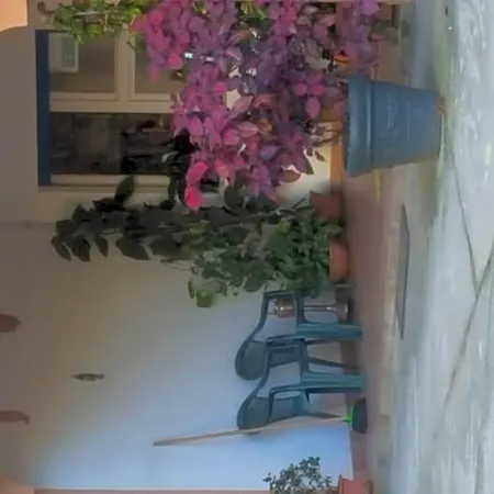 Residenza Burmaria Free Parking 4*